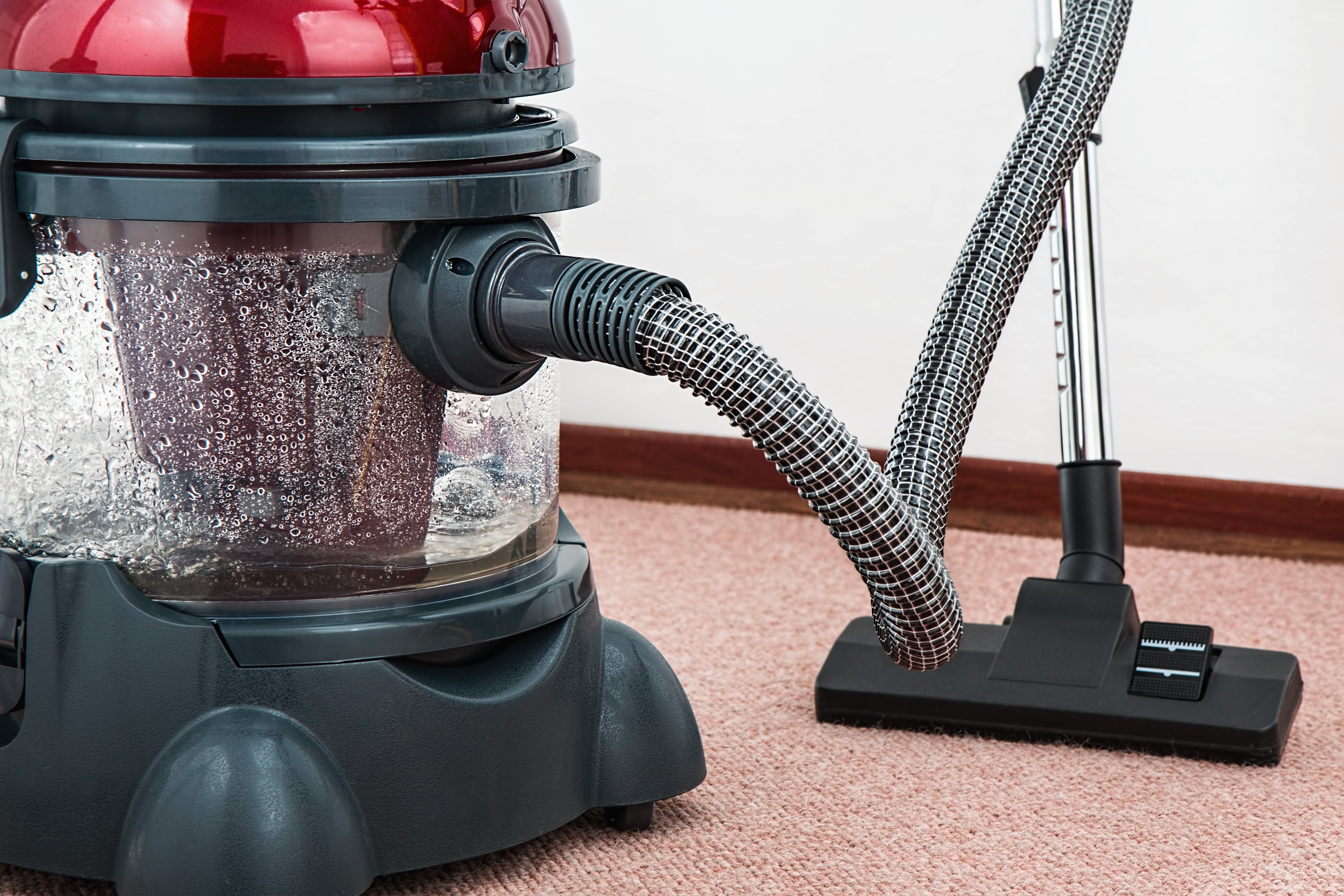 The Hidden Pitfalls of DIY Carpet Cleaning